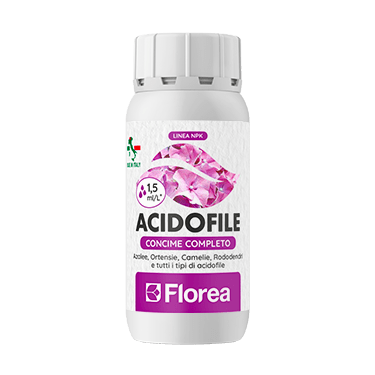 Acidofile di Florea