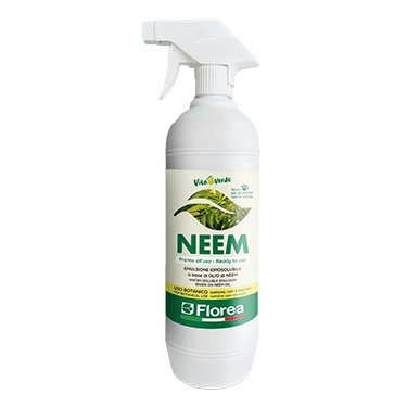 Olio di Neem pronto all'uso in formato spray