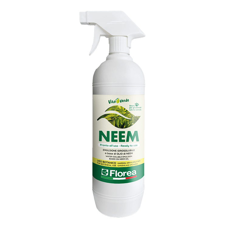 Neem di Florea