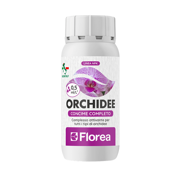 Orchidee di Florea