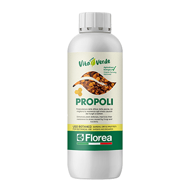 Biostimolante con micorrize naturali