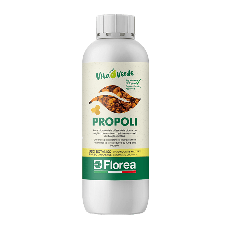 Propoli di Florea