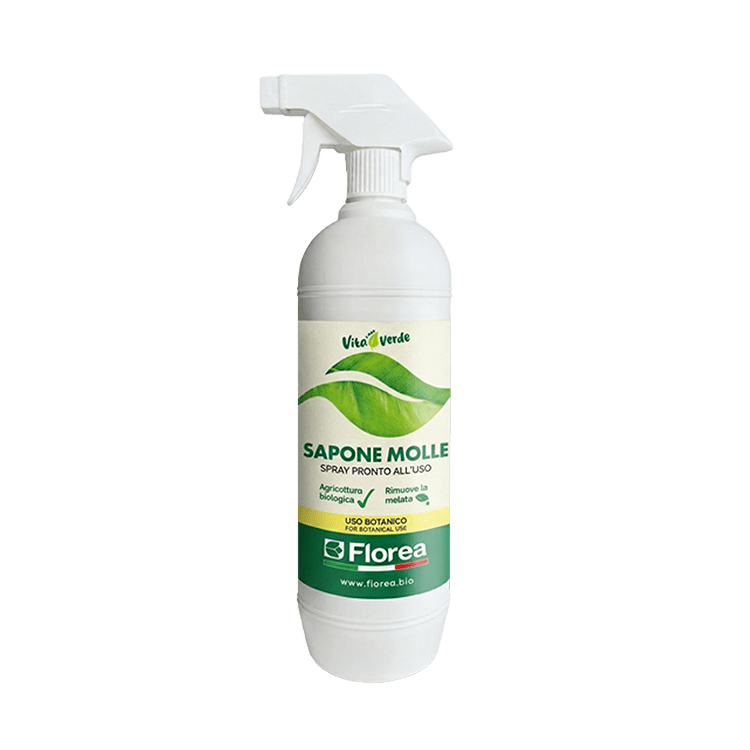 Sapone Molle di Florea